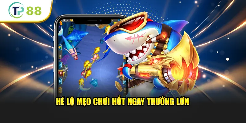 Hé lộ mẹo chơi hốt ngay thưởng lớn trên sảnh bắn cá TP88