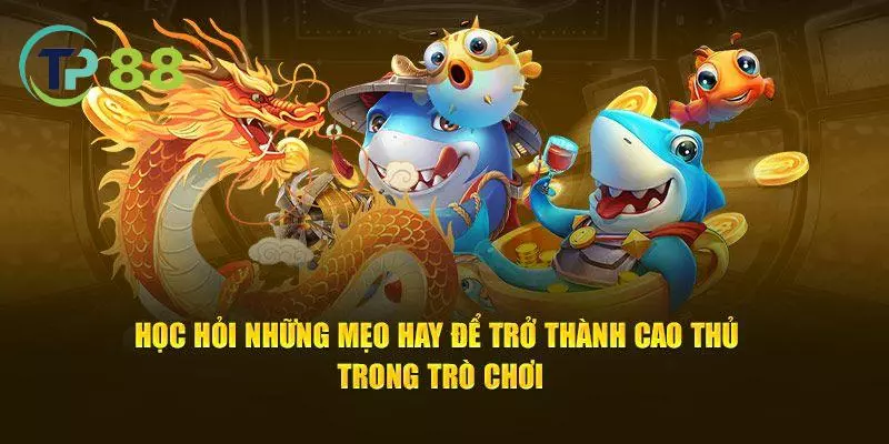 Những thủ thuật giúp bạn kiếm điểm nhanh hơn trong game bắn cá tại TP88